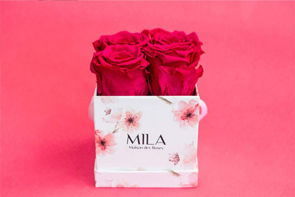 Mila Roses - Roses Eternelles